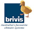 Brivis